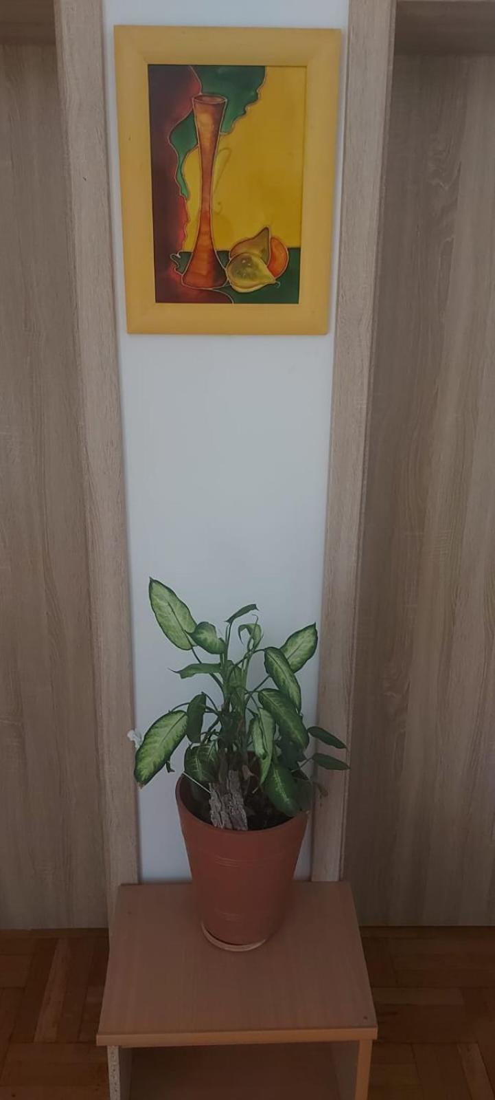 Hostel Poznan Luaran gambar